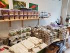 Heimchen 1 70 Euro Drosophila 2 50 Euro Springschwänze 2 50 Euro in Erfurt