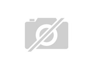 Suche graupapagei Hahn 10-20 Jahre alt